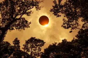 Unveiling the Ring of Fire: The Astrology of the Annular Solar Eclipse on October 2nd, 2024