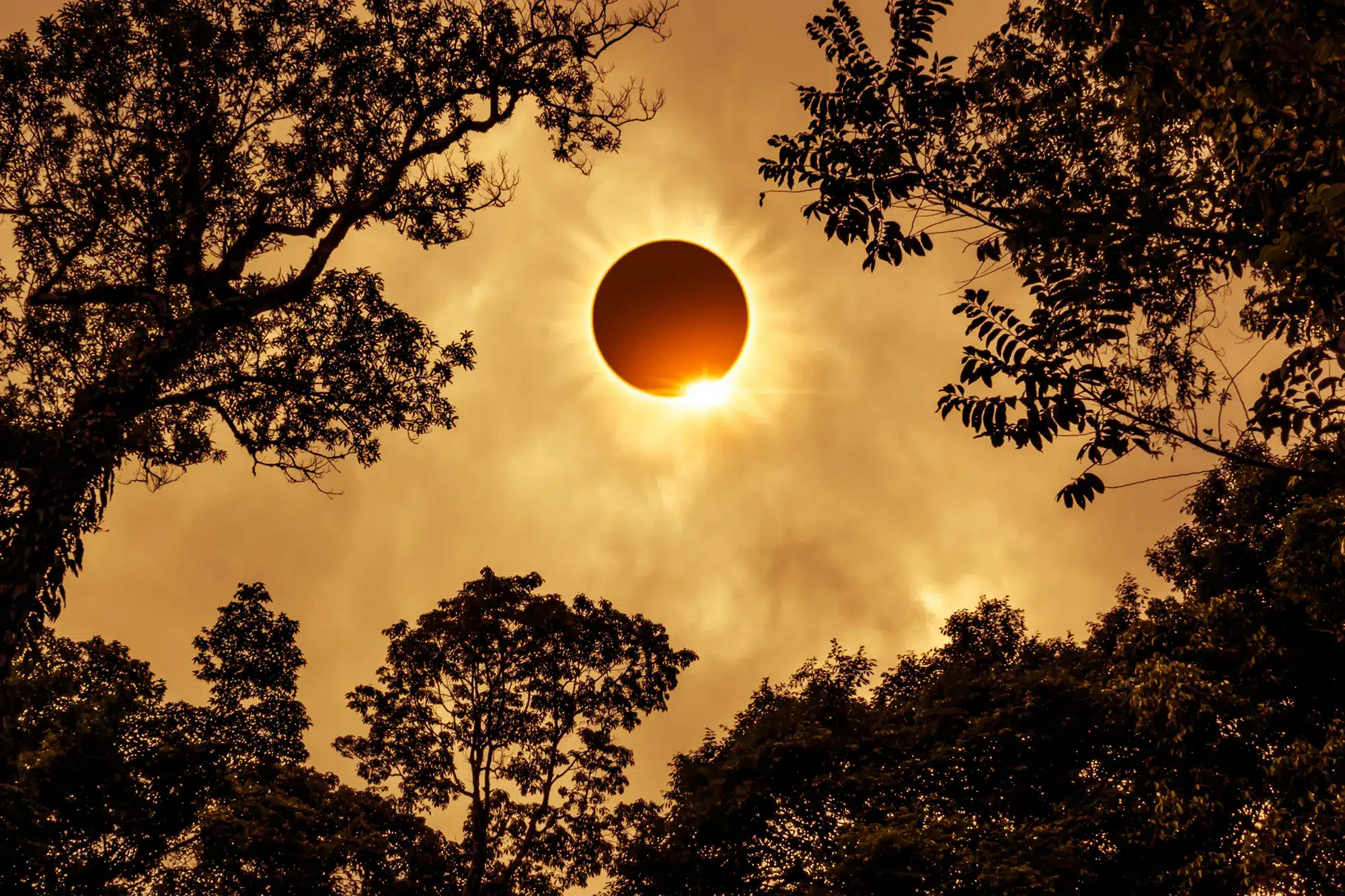 The Astrology of the Annular Solar Eclipse on October 2nd, 2024