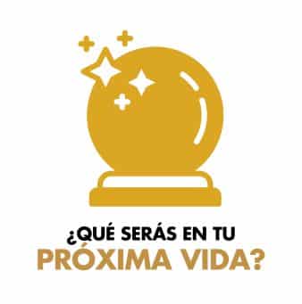 ¿Qué serás en tu próxima vida