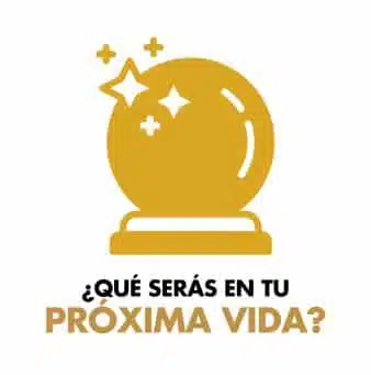 ¿Qué serás en tu próxima vida