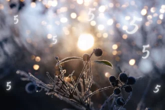 Numerology and the Winter Solstice: Embracing Transformation on 12/21