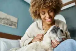 Reiki para Perros: Información General, Consejos y Estrategias