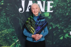 La Numerología de los Grandes Científicos: Jane Goodall