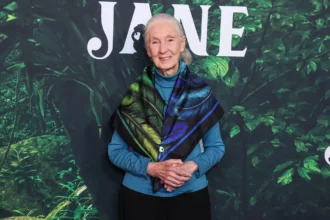 jane-goodall-numerology