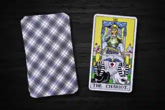 The Fool's Journey through the Tarot: Meeting the Chariot