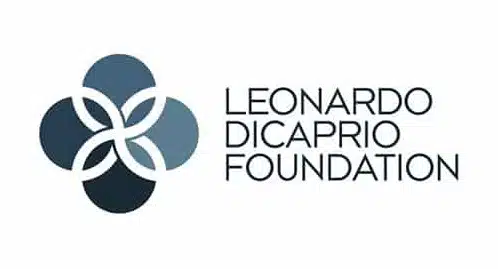 Leonardo-DiCaprio-Foundation-Logo