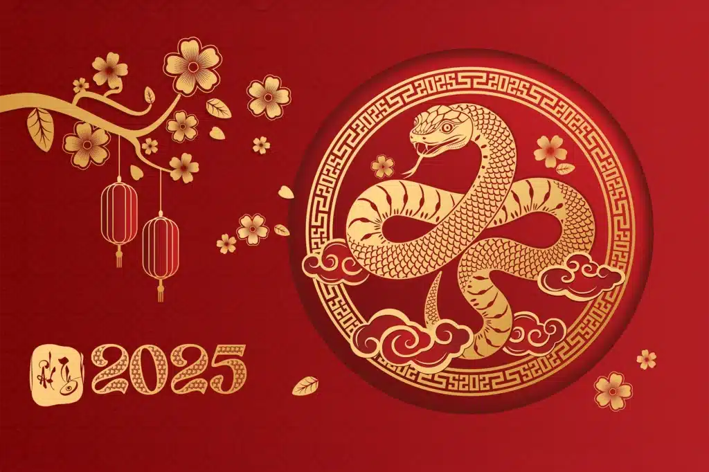 What the Year of the Snake Means for You in 2025