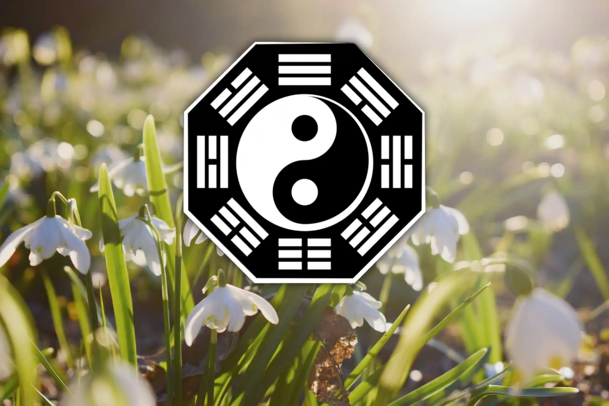 Discover March’s Message from the I-Ching