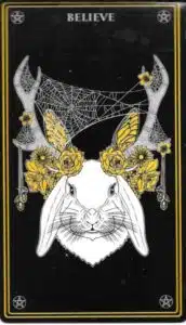 Wild Mystic Oracle_Rabbit_Believe