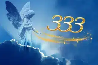 meaning-number-333