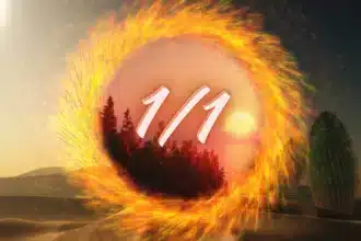 Unlocking the Magic of 1/1/2026